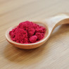 A wooden spoon filled with our Organic Cranberry Powder