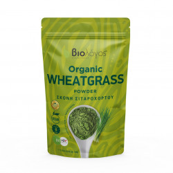Poudre d'Herbe de Blé Bio 100g Paquet Avant